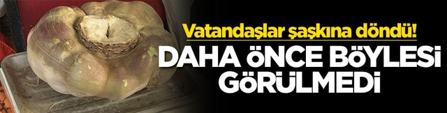 Vatandaşlar şaşkına d&ouml;nd&uuml;! Daha &ouml;nce b&ouml;ylesi g&ouml;r&uuml;lmedi