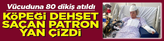 V&uuml;cuduna 80 dikiş atıldı K&ouml;peği dehşet sa&ccedil;an patron yan &ccedil;izdi