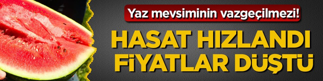 Yaz mevsiminin vazge&ccedil;ilmezi! Adana&rsquo;da hasat hızlandı, fiyatlar d&uuml;şt&uuml;