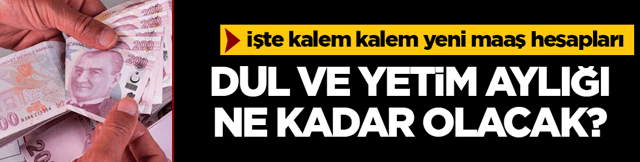 2026 dul ve yetim maaşı ne kadar olacak? Dul ve yetim aylığı nasıl hesaplanacak?  