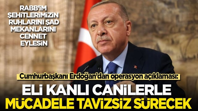 Cumhurbaşkanı Erdoğan'dan DEAŞ operasyonu a&ccedil;ıklaması: Eli kanlı canilerle m&uuml;cadele tavizsiz s&uuml;recek