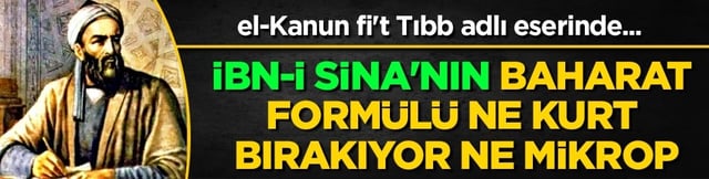 İbn-i Sina'nın siğillere formülü: Ne kurt bırakıyor ne mikrop! Siğillere karşı önerdiği bitki! 