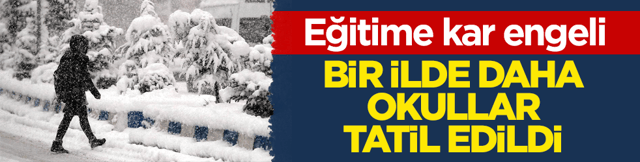 Karla birlikte tatil de geldi! O kentte okullar tatil edildi