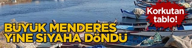 Korkutan tablo! B&uuml;y&uuml;k Menderes yine siyaha d&ouml;nd&uuml;