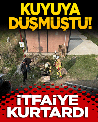 Kuyuya düşmüştü! İtfaiye kurtardı