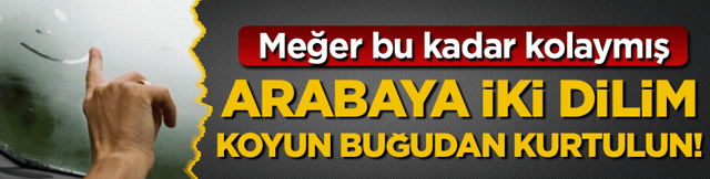 Meğer bu kadar kolaymış: Arabaya iki dilim koyun buğudan kurtulun!