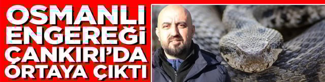 Osmanlı Engereği &Ccedil;ankırı&rsquo;da ortaya &ccedil;ıktı