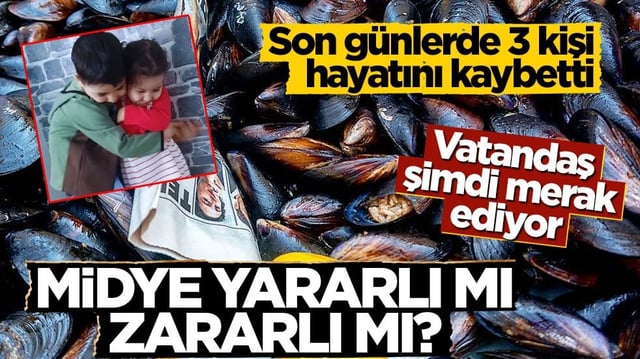 Son günlerde 3 kişi hayatını kaybetti! Vatandaş şimdi merak ediyor: Midye yararlı mı zararlı mı?