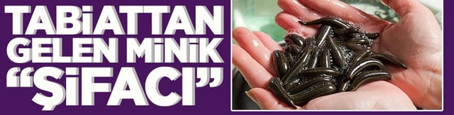 Tabiattan gelen minik 'şifacı'