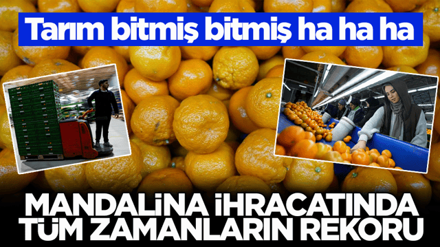Tarım bitmiş bitmiş ha ha ha! Mandalina ihracatında t&uuml;m zamanların rekoru