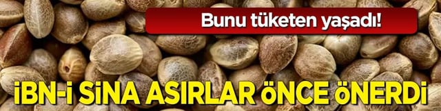 Tohum t&uuml;keten yaşadı: Gen&ccedil;leşmenin sırrı! İbn-i Sina asırlar &ouml;nce &ouml;nerdi! Sır gibi saklanan tohum