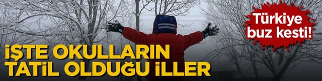 T&uuml;rkiye buz kesti! İşte okulların tatil olduğu iller