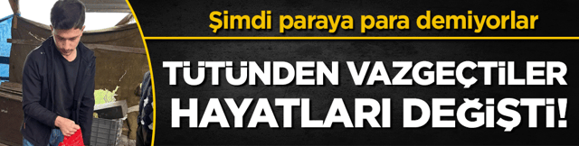 T&uuml;t&uuml;nden vazge&ccedil;tiler hayatları değişti: Fiyatlar u&ccedil;uşa ge&ccedil;ti!