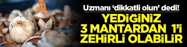 Uzmanı &lsquo;dikkatli olun&rsquo; dedi! Yediğiniz 3 mantardan 1'i zehirli olabilir