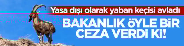 Yasa dışı olarak yaban ke&ccedil;isi avladı! Bakanlık &ouml;yle bir ceza verdi ki