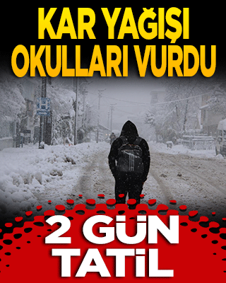 Yoğun kar yağışı okulları vurdu! 2 ilçede okullar tatil