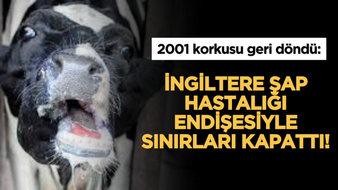 2001 korkusu geri döndü: İngiltere şap hastalığı endişesiyle sınırları kapattı!