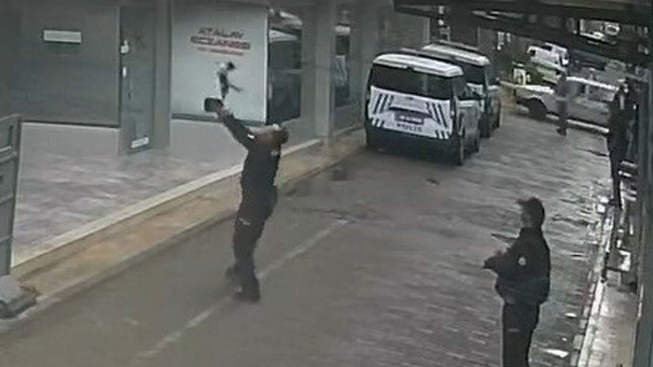 Apartmandan düşen kediyi polis havada yakaladı