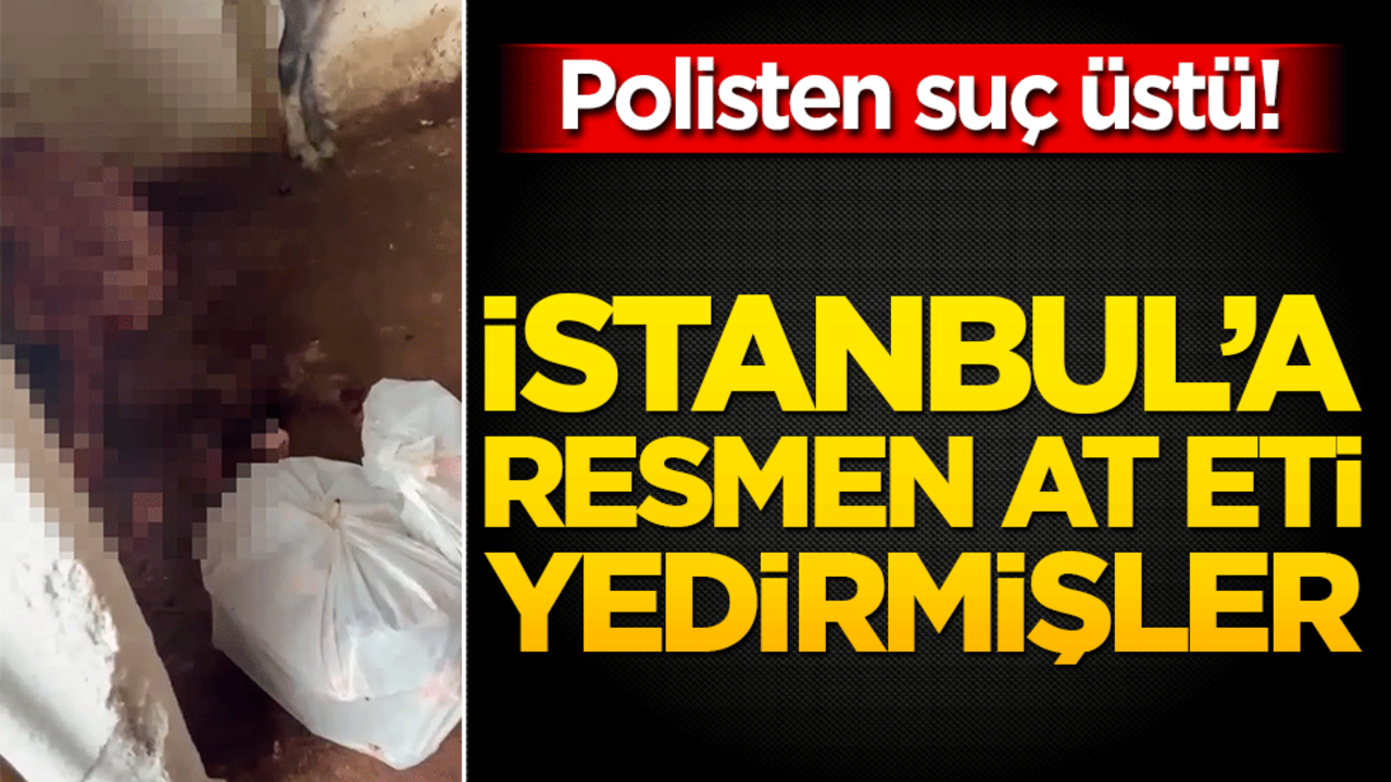 Ataşehir’de korkunç iddia ortaya çıktı! Depoda at kesimi yapanlara operasyon