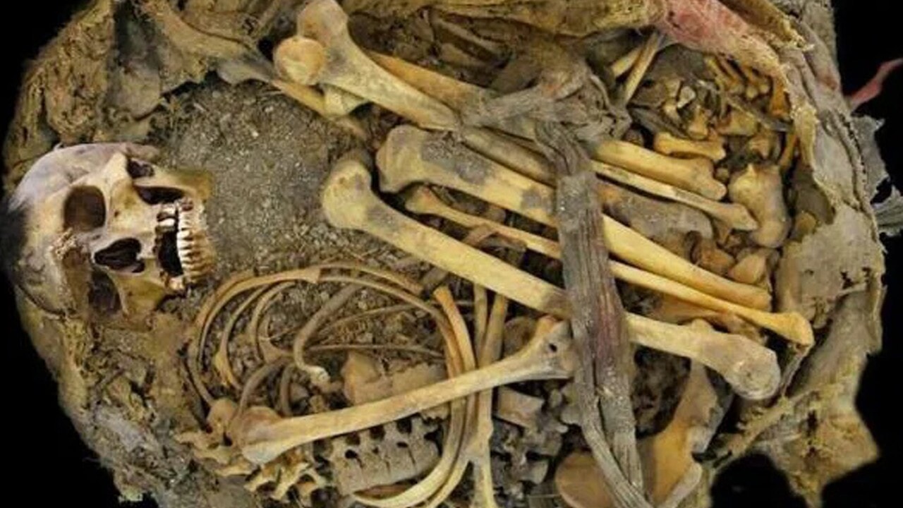 Bin yıllık mikrobiyom sırrı: Antik Meksikalı erkeğin bağırsaklarında modern izler bulundu