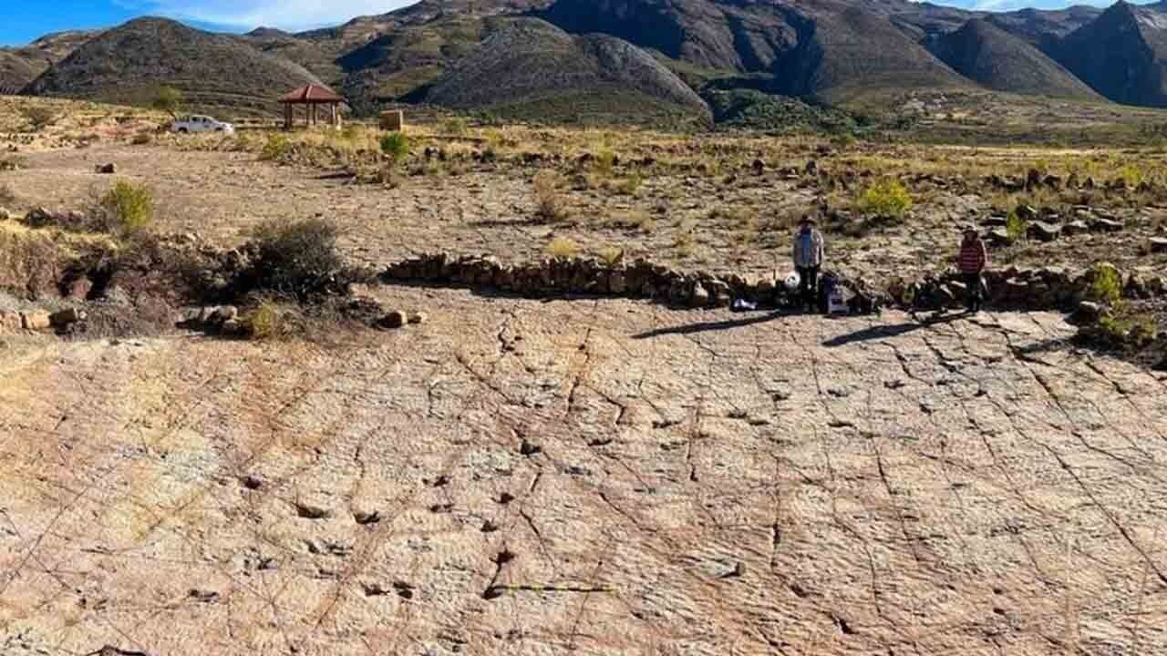 Bolivya’da dinozor rekoru: Tek alanda 18 bine yakın ayak izi