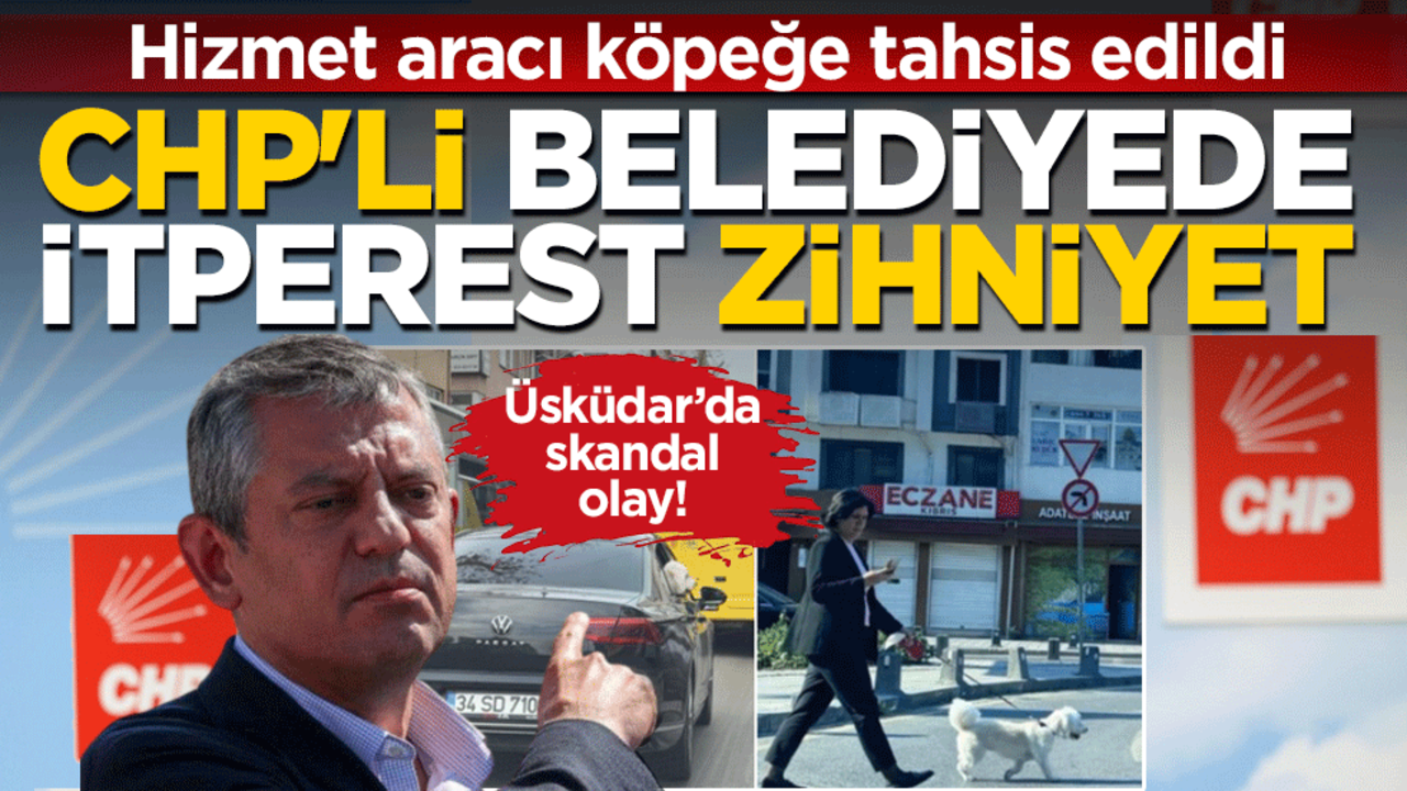 CHP'li belediyede itperest zihniyet: Hizmet aracı köpeğe tahsis edildi