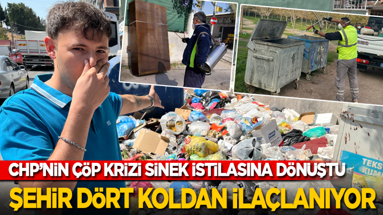 CHP’nin çöp krizi sinek istilasına dönüştü: Salgın çıkmaması için şehir dört koldan ilaçlanıyor