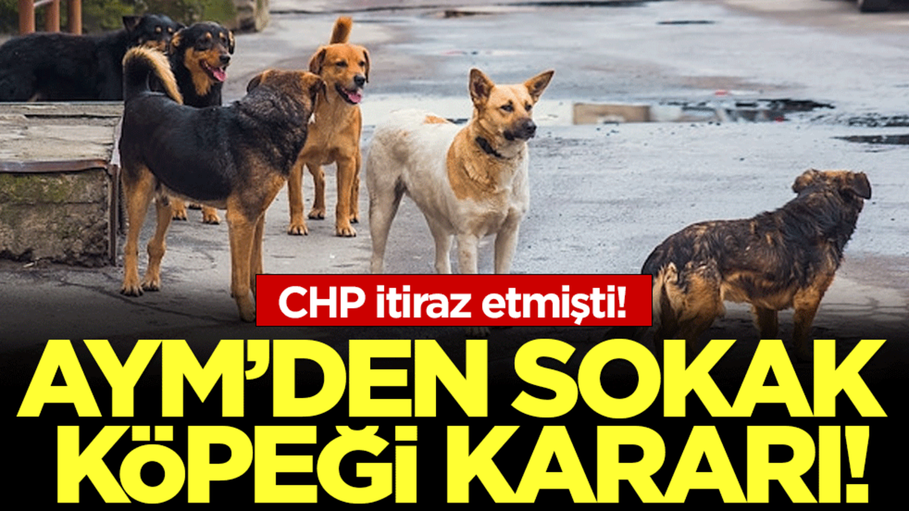 CHP'nin sokak köpekleri itirazı: AYM'den son dakika kararı!