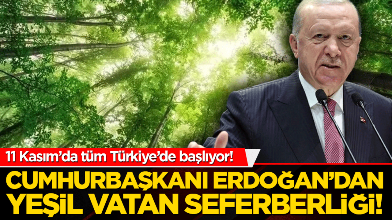 Cumhurbaşkanı Erdoğan’dan yeşil vatan seferberliği! 11 Kasım’da tüm Türkiye fidan dikmeye hazır