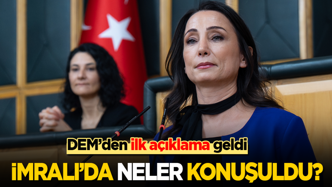 DEM’den ilk açıklama geldi: İmralı'da neler konuşuldu?