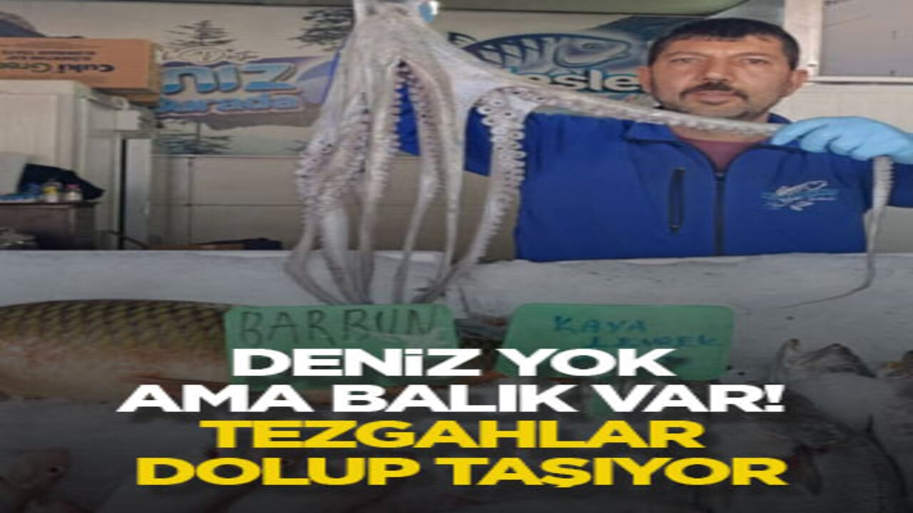 Deniz yok ama balık var! Tezgahlar dolup taşıyor