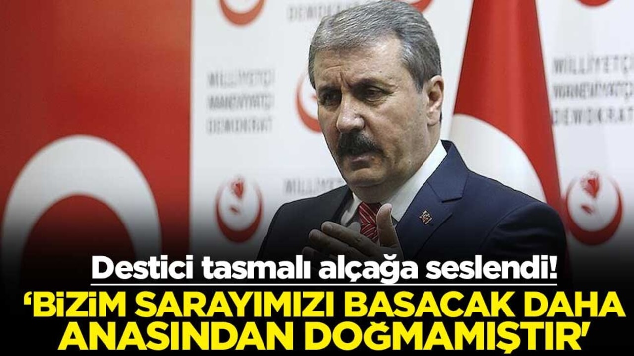 Destici tasmalı alçağa seslendi! ‘Bizim sarayımızı basacak daha anasından doğmamıştır'