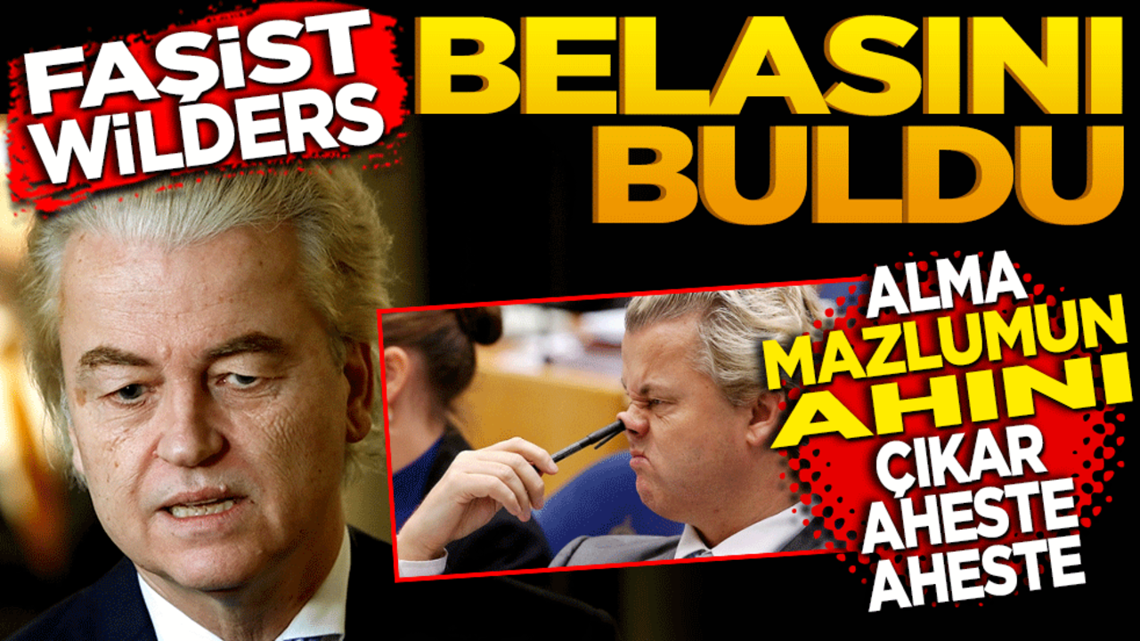 Faşist Wilders belasını buldu! Alma mazlumun ahını çıkar aheste aheste