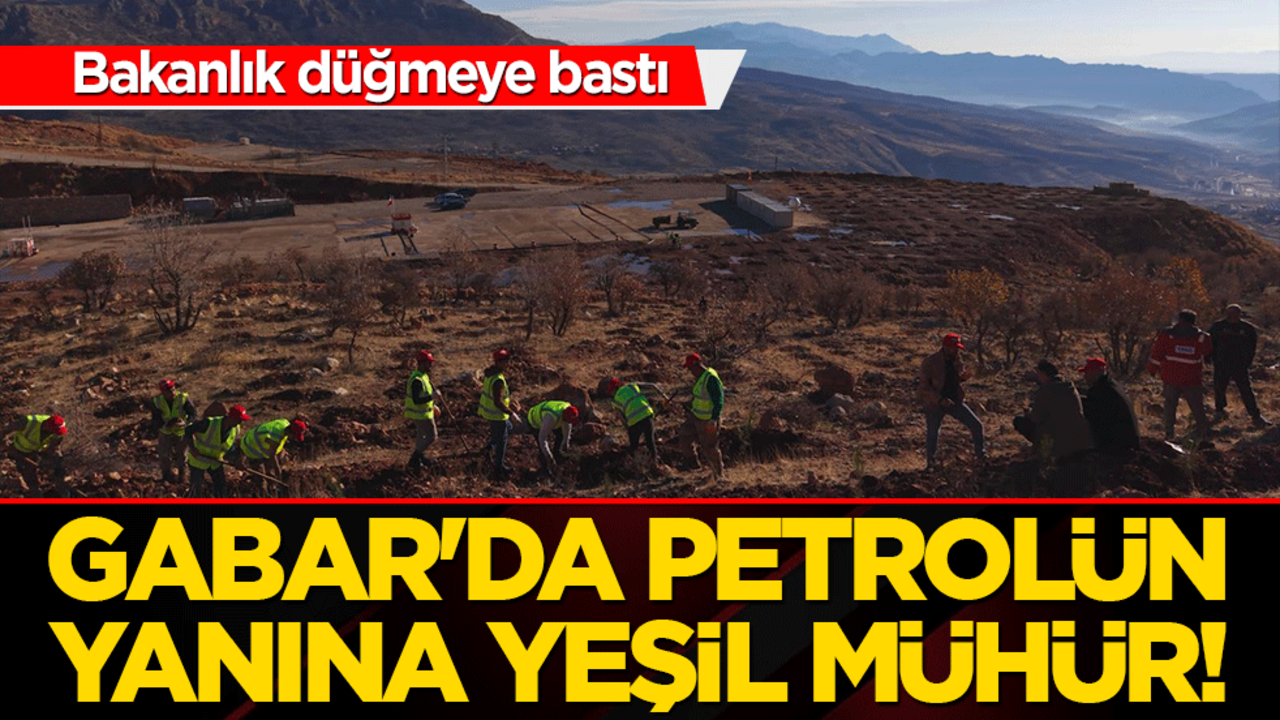 Gabar'da petrolün yanına yeşil mühür! Bakanlık düğmeye bastı