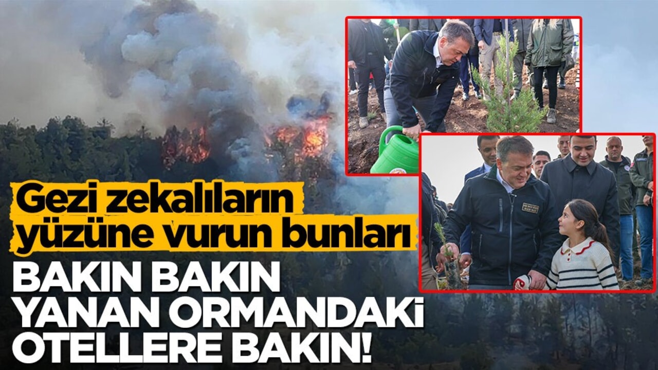 Gezi zekalıların yüzüne vurun bunları! Bakın bakın yanan ormandaki otellere bakın!