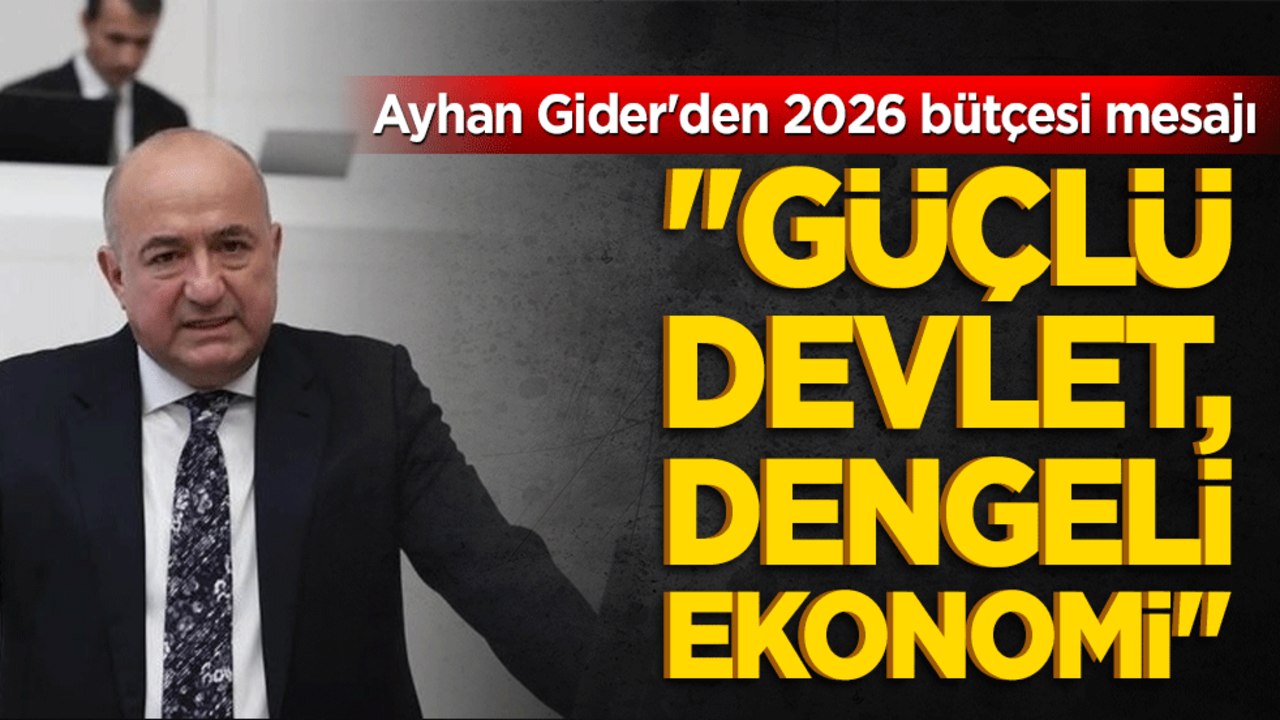 "Güçlü Devlet, Dengeli Ekonomi": Ayhan Gider'den 2026 bütçesi mesajı