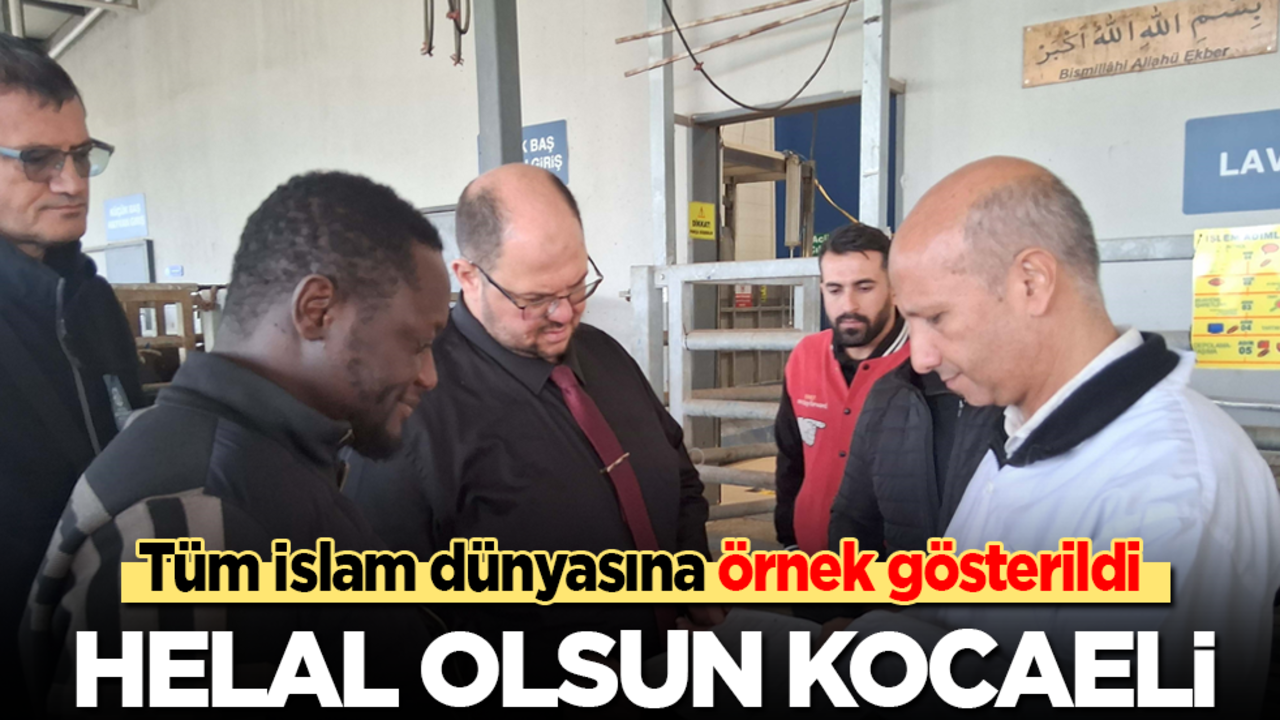 Helal olsun Kocaeli! İslam dünyasına örnek gösterildi