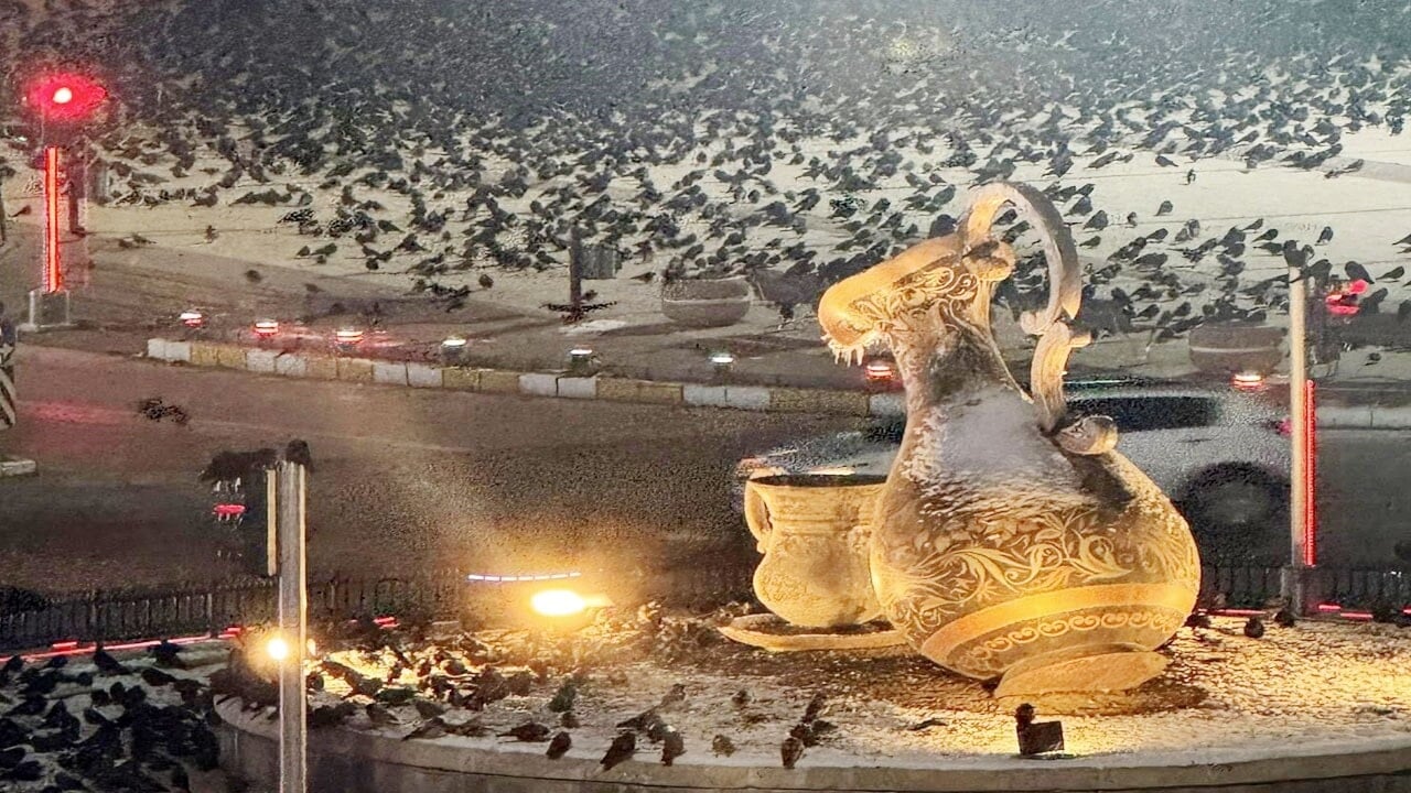 Her akşam aynı saatte geliyorlar Binlerce karga caddeyi kapatıp kimseyi geçirmiyor