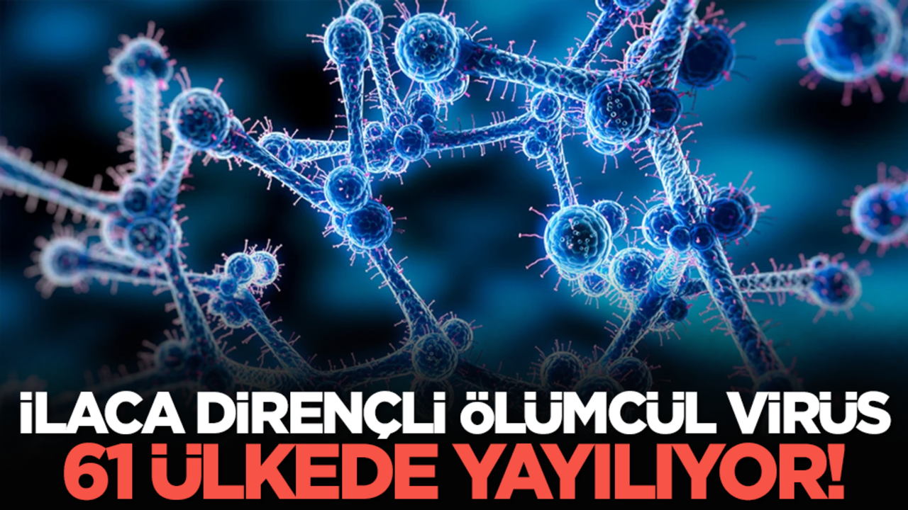 İlaca dirençli ölümcül virüs 61 ülkede yayılıyor!
