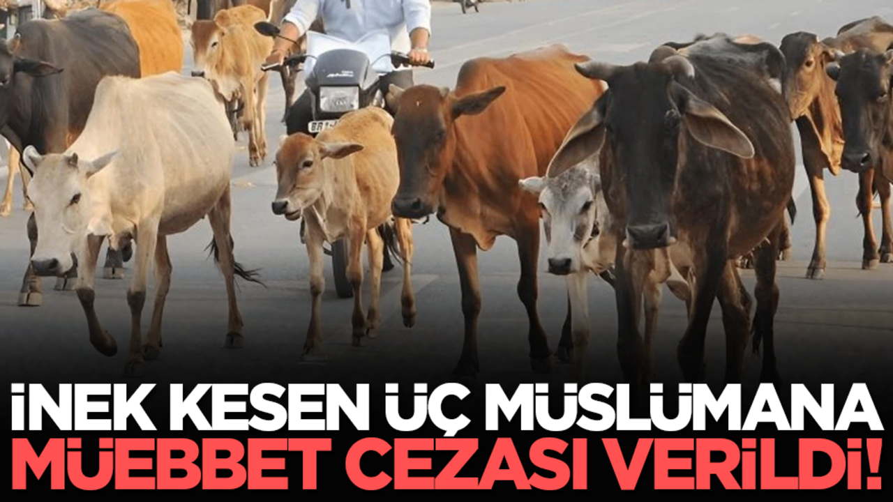 İnek kesen üç Müslümana müebbet cezası verildi!
