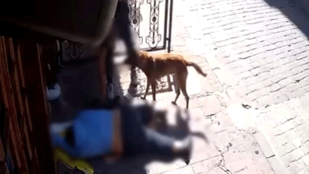 İnsanlıktan nasibini almamış 2 aşağılık tutuklandı! Bayılan kişiye yardım yerine kıyafetlerini ve telefonunu çalmışlardı