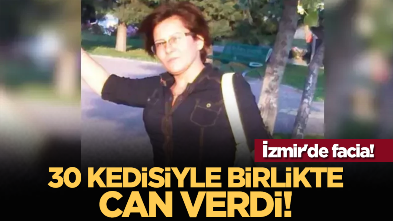 İzmir'de facia! 30 kedisiyle birlikte can verdi!