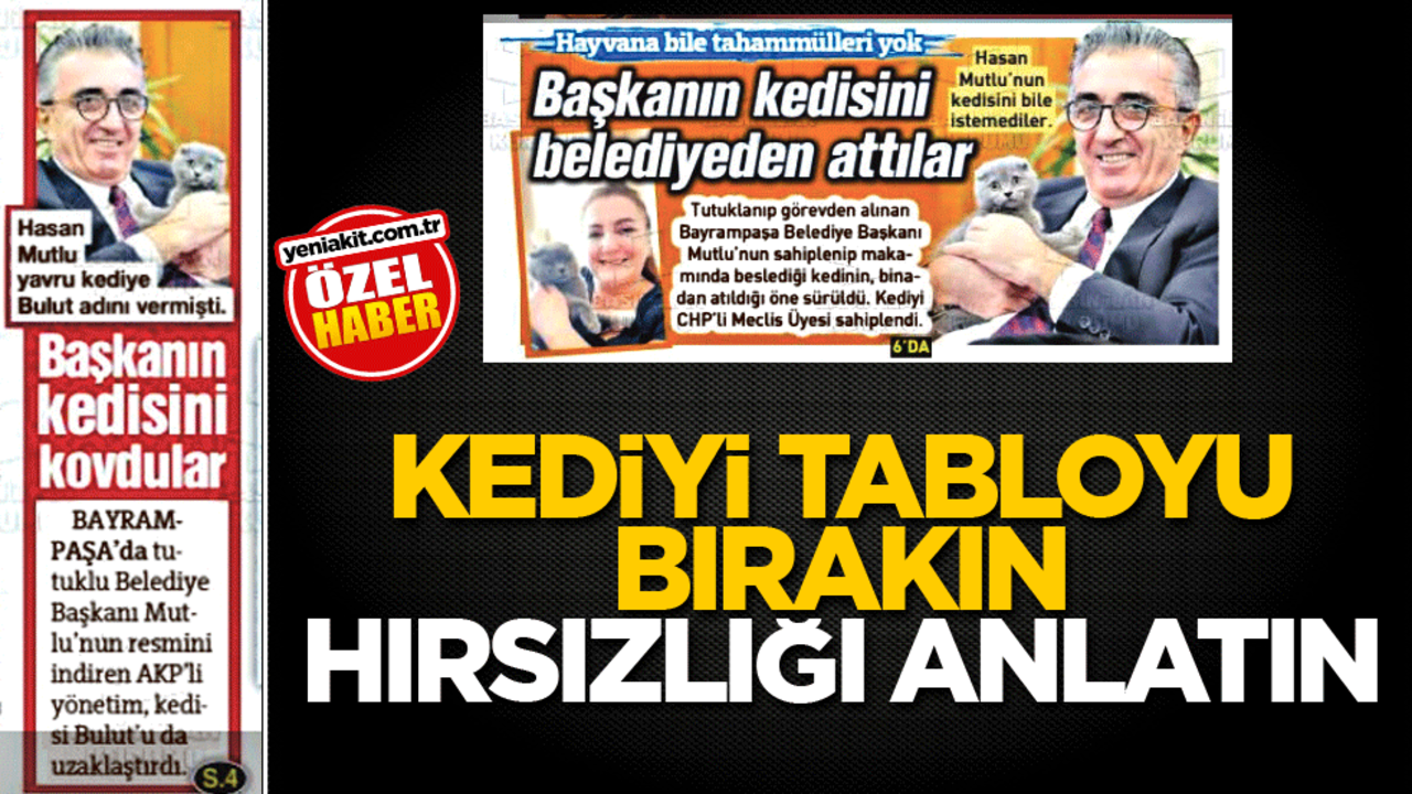 Kediyi, tabloyu bırakın, hırsızlığı anlatın