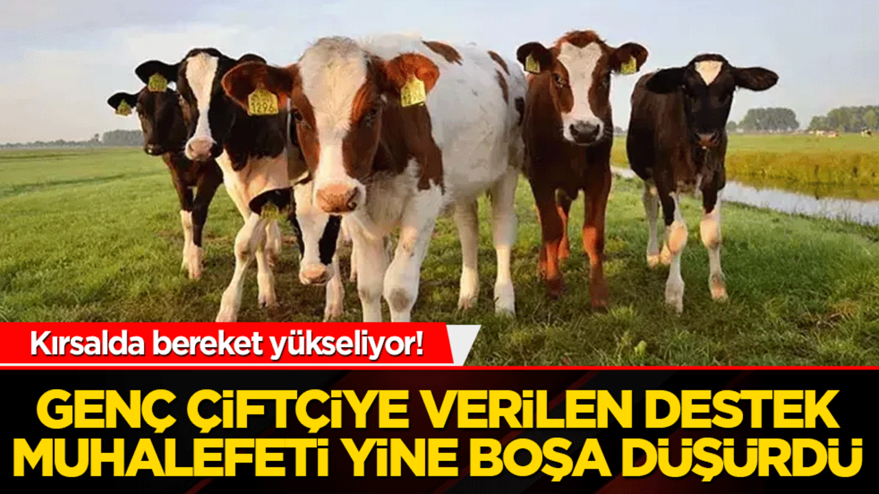 Kırsalda bereket yükseliyor! Genç çiftçiye verilen destek muhalefeti yine boşa düşürdü