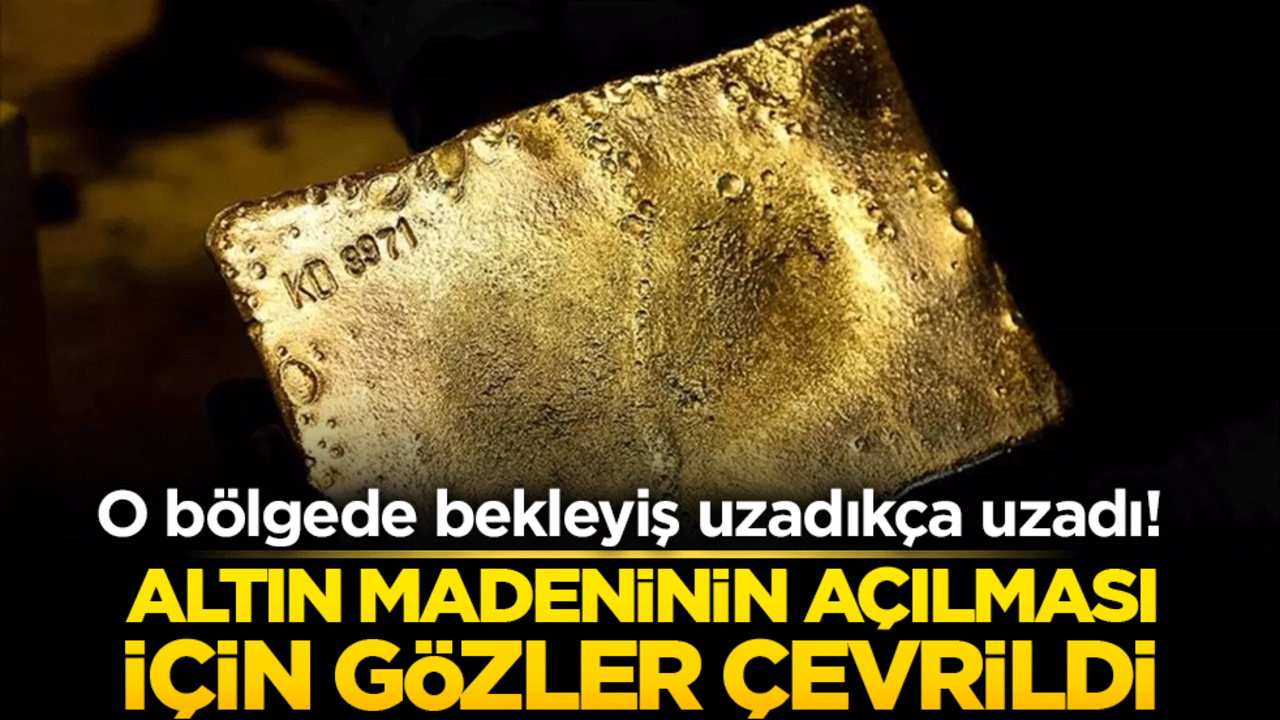 O bölgede bekleyiş uzadıkça uzadı! Altın madeninin açılması için gözler çevrildi