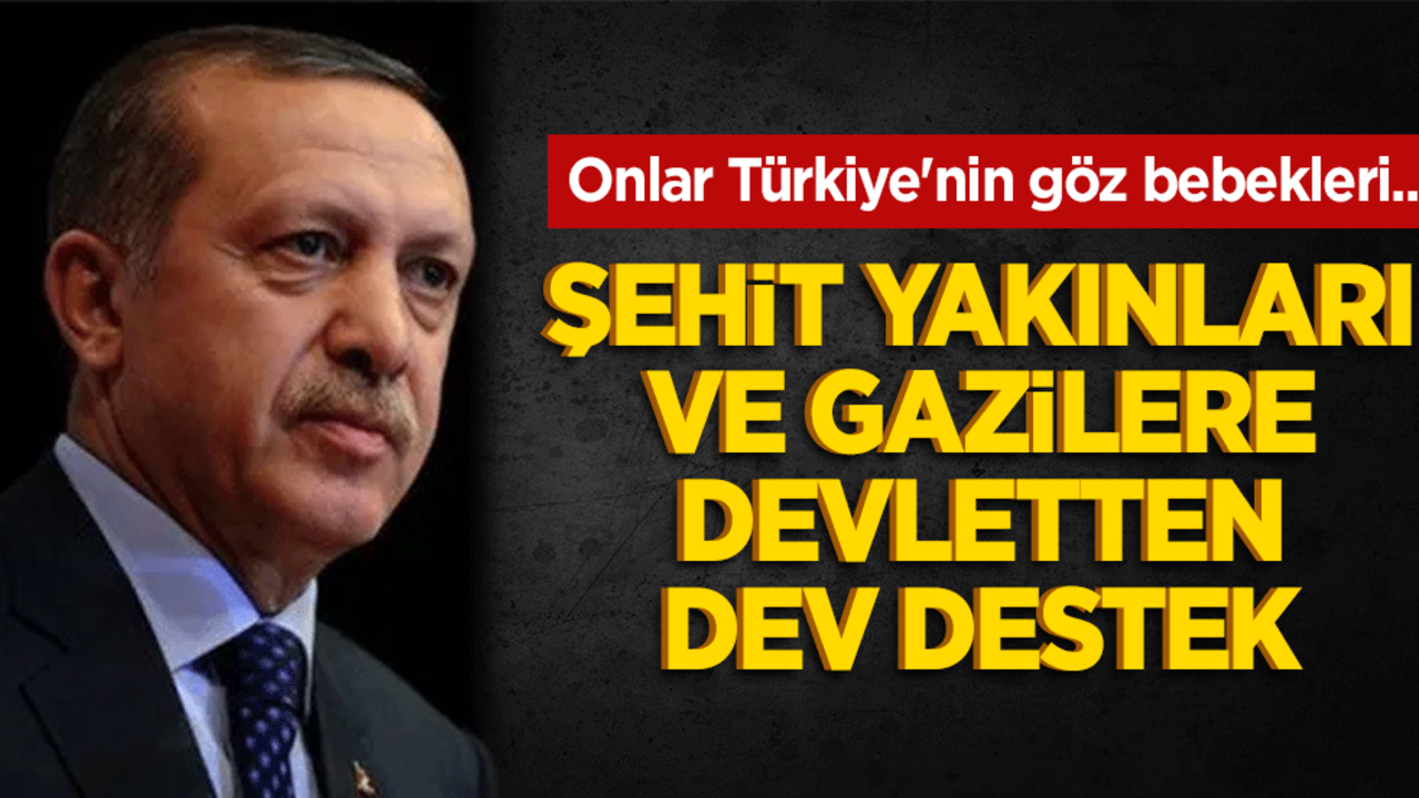 Onlar Türkiye'nin göz bebekleri... Şehit yakınları ve gazilere devletten dev destek
