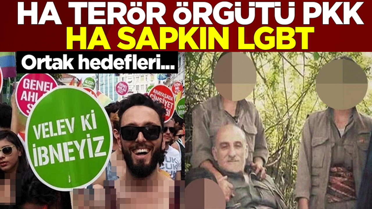 Ortak hedef ‘anneliği' çökertmek! Ha terör örgütü PKK ha sapkın LGBT