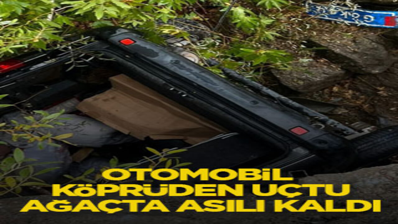 Otomobil köprüden uçtu, ağaçta asılı kaldı