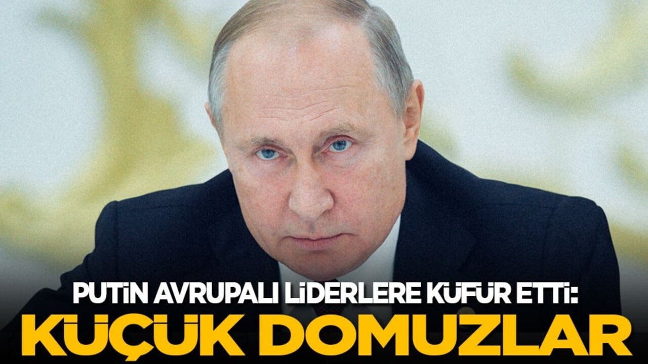 Putin Avrupalı liderlere küfür etti: Küçük domuzlar!