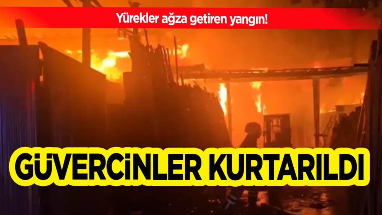 Şanlıurfa'da yangın! Yürekler ağza geldi: Güvercinler kurtarıldı